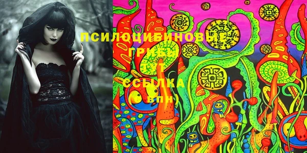 шишки Нягань
