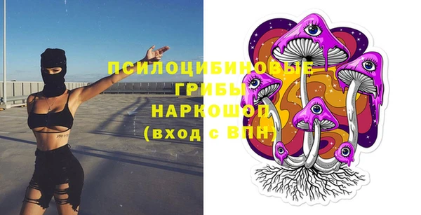 ешки Алексин