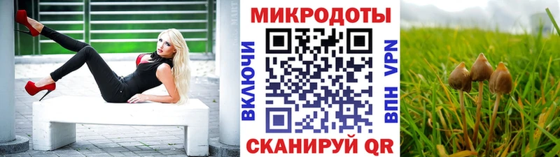 маркетплейс наркотические препараты  omg ONION  Нестеров  Галлюциногенные грибы прущие грибы 
