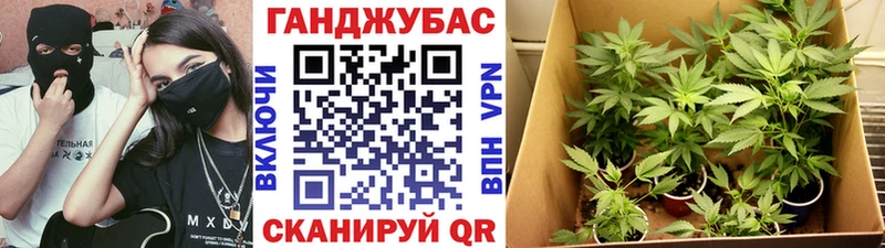 Бошки марихуана VHQ Нестеров